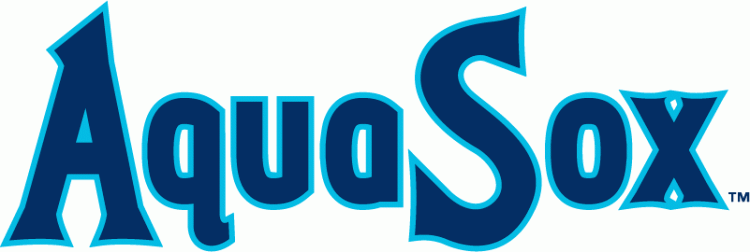 Everett Aquasox 2010-Pres Wordmark Logo iron on transfers for T-shirts